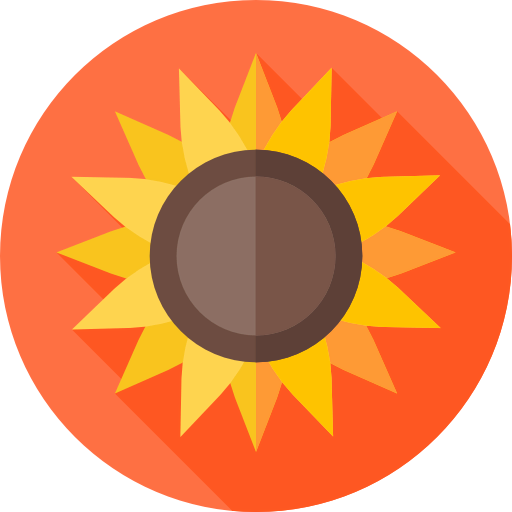 Sunflower icon