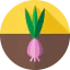 Onion icon 64x64