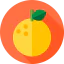 Orange icon 64x64
