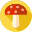 Mushroom icon 64x64
