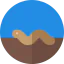 Worm icon 64x64