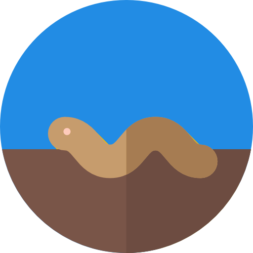 Worm icon