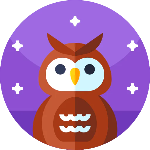Owl icon