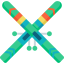 Ski icon 64x64