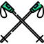 Ski poles icône 64x64