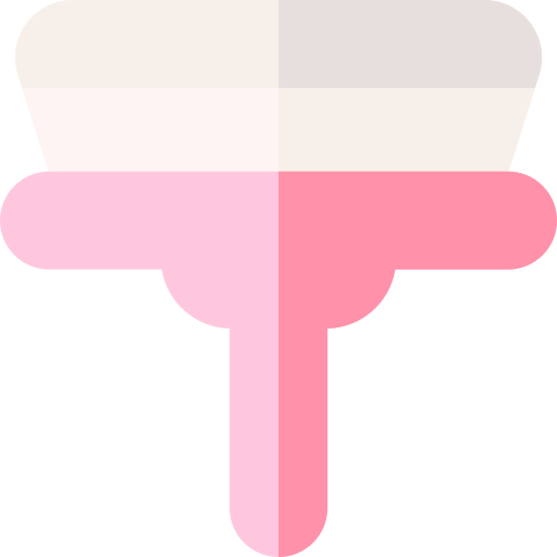 Cleaner icon