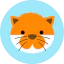 Cat icon 64x64
