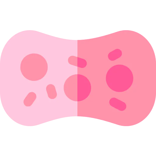 Sponge icon