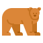 Bear icon 64x64