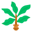Botanical icône 64x64