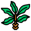 Botanical icône 64x64