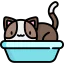Cat icon 64x64