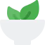 Salad icon 64x64