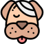 Dog icon 64x64