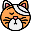 Cat icon 64x64