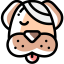 Dog icon 64x64