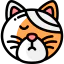 Cat icon 64x64