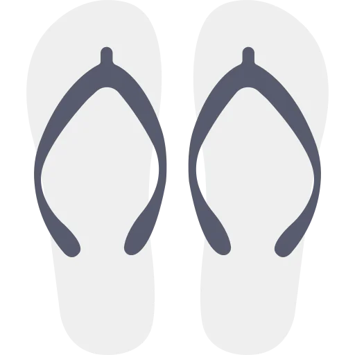 Flip flops icon