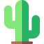 Cactus icon 64x64
