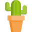 Cactus icon 64x64