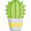 Cactus icon 64x64
