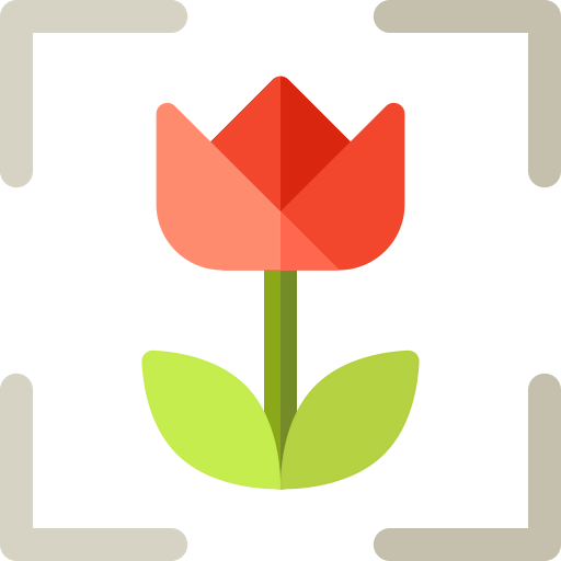 Macro icon