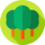 Forest icon 64x64