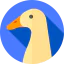 Duck Ikona 64x64