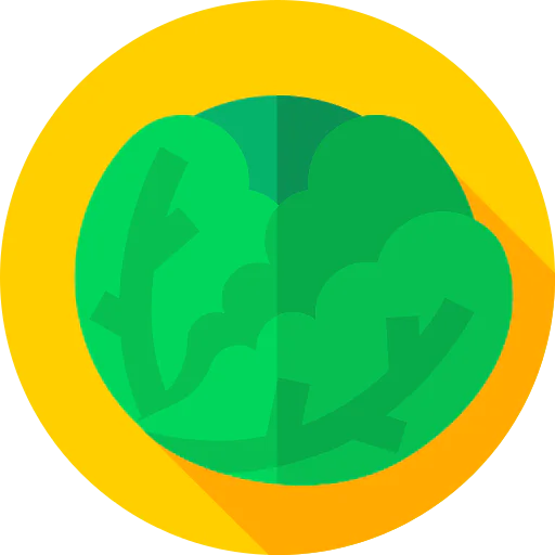 Cabbage icon