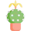 Cactus icon 64x64