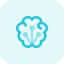 Networking icon 64x64