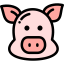 Pig icon 64x64