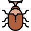Beetle icône 64x64