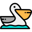 Pelican icon 64x64