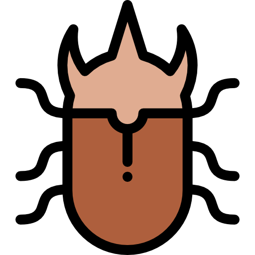 Beetle icon