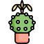 Cactus icon 64x64