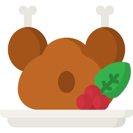 Turkey icon