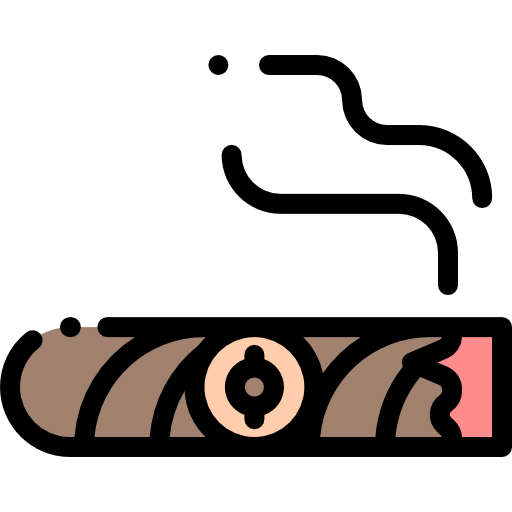 Cigar icon