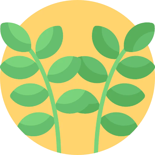 Willow icon