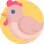 Hen icône 64x64