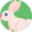 Easter bunny Symbol 64x64