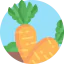 Carrot Symbol 64x64