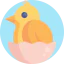 Chicken Symbol 64x64