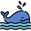 Whale icon 64x64