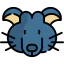 Rat icon 64x64