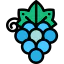 Grape icon 64x64