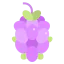 Grapes icon 64x64
