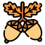 Acorn icon 64x64