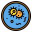 Petri dish icon 64x64