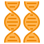 Dna icon 64x64